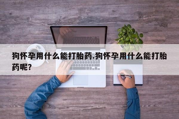 网上购买米非司酮片去哪买狗怀孕用什么能打胎药.狗怀孕用什么能打胎药呢？