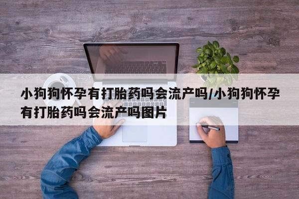 网上购买米非司酮片去哪买小狗狗怀孕有打胎药吗会流产吗/小狗狗怀孕有打胎药吗会流产吗图片
