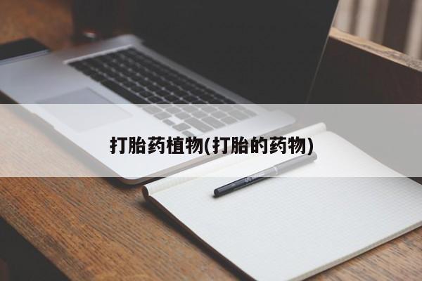 网上购买米非司酮片去哪买打胎药植物(打胎的药物)