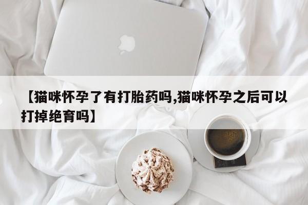 网上购买米非司酮片去哪买【猫咪怀孕了有打胎药吗,猫咪怀孕之后可以打掉绝育吗】