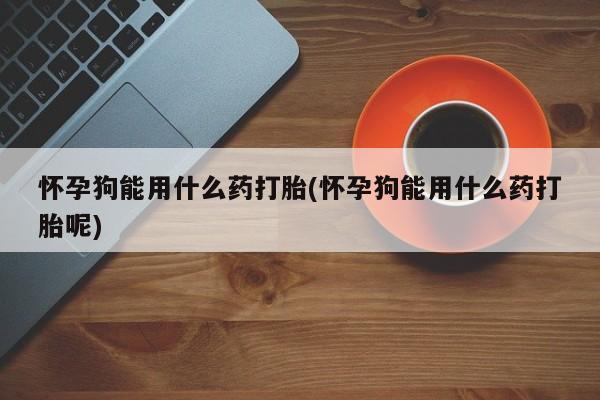 网上购买米非司酮片去哪买怀孕狗能用什么药打胎(怀孕狗能用什么药打胎呢)