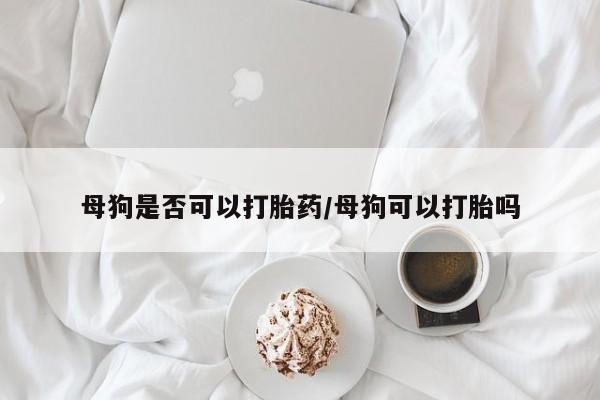 网上购买米非司酮片去哪买母狗是否可以打胎药/母狗可以打胎吗